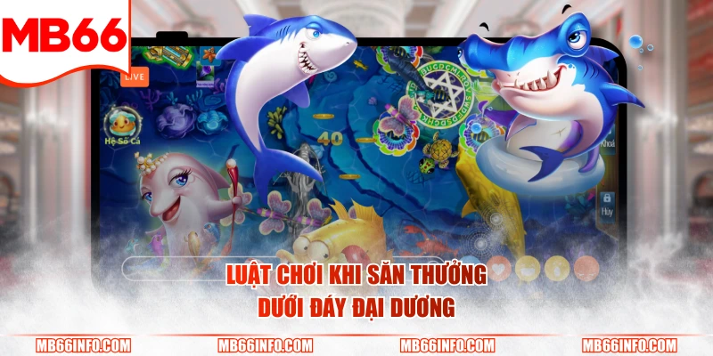 Luật chơi khi săn thưởng dưới đáy đại dương